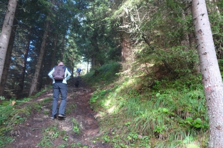 Wanderung mit Dominik im Niggeltal