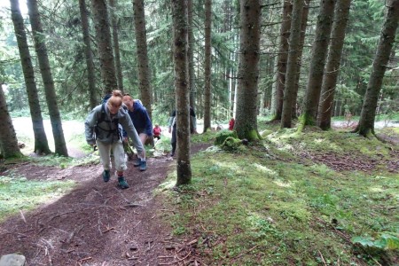 Wanderung mit Dominik im Niggeltal