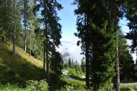 Wanderung mit Dominik im Niggeltal