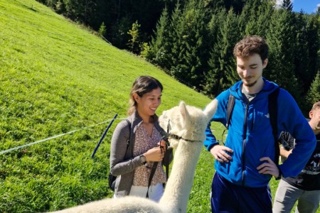 Alpakawanderung mit Karin