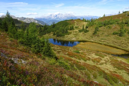 Wanderung mit Maria sen. zum Gründegg