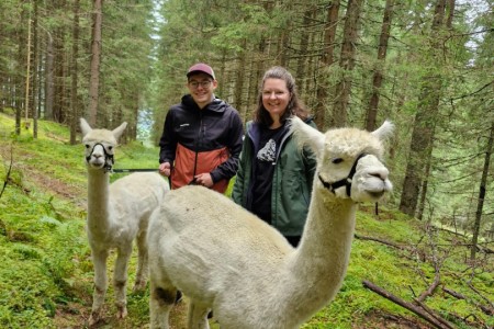 Alpakawanderung mit Karin