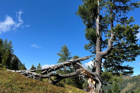 Wanderung mit Toni Sen. im Gebiet Bichlalm
