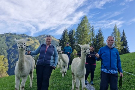 Alpakawanderung mit Karin