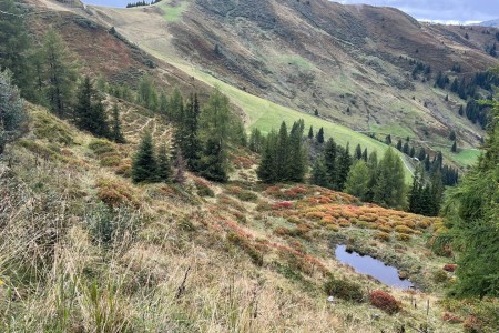 Wanderung mit Toni Senior vom Kieserl zum Fulseck
