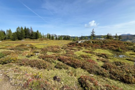 Wanderung mit Toni sen. zur Saukaralm