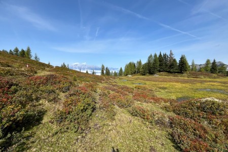 Wanderung mit Toni sen. zur Saukaralm