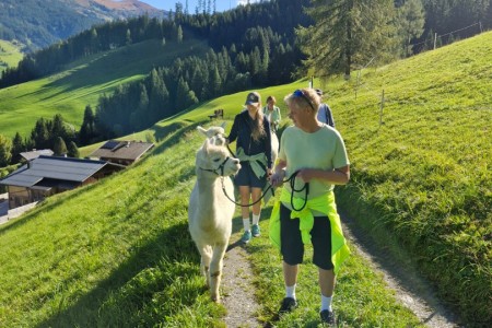 Alpakawanderung mit Karin