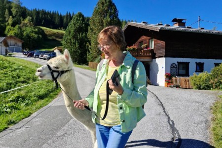 Alpakawanderung mit Karin