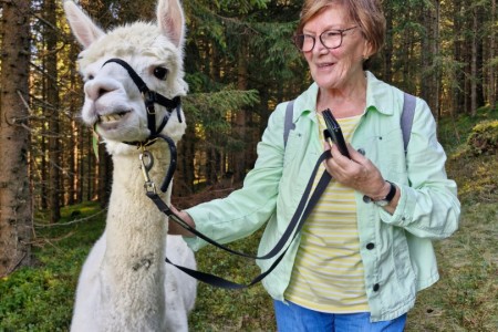 Alpakawanderung mit Karin