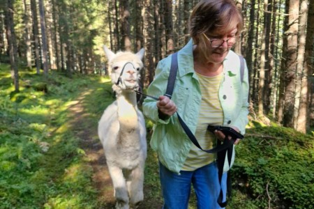 Alpakawanderung mit Karin