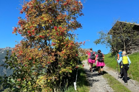 3 Almen Wanderung mit Toni