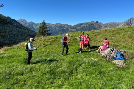 3 Almen Wanderung mit Toni