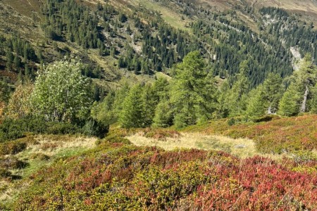 Wanderung mit Toni Senior zur Reitalm