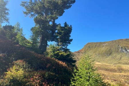 Wanderung mit Toni Senior zur Reitalm