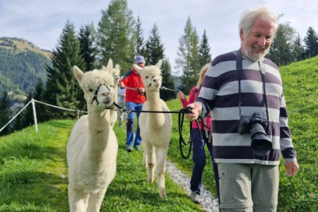 Alpakawanderung mit Karin