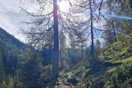 Wanderung mit Karin zur Filzmoosalm