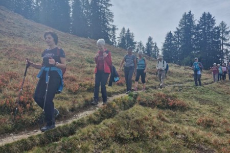 Wanderung mit Karin zur Filzmoosalm