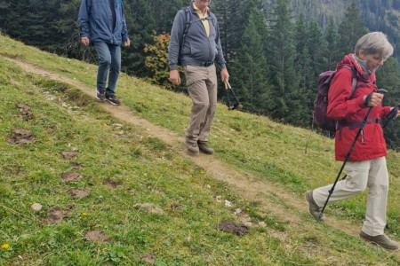 Wanderung mit Karin zur Filzmoosalm