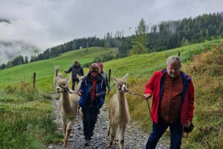 Alpakawanderung mit Karin