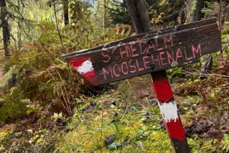 Wanderung mit Maria von der Au Hochalm zur Mooslehenalm