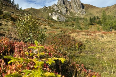 Wanderung mit Maria von der Au Hochalm zur Mooslehenalm