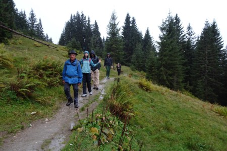 Wanderung mit Maria jun. von der Weißalm zur Loosbühelalm