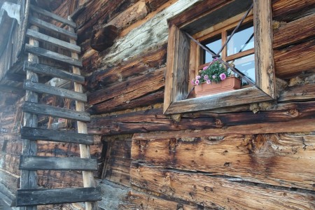 Wanderung mit Maria jun. von der Weißalm zur Loosbühelalm