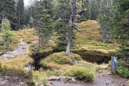 Wanderung mit Toni sen. im Rauriser Urwald