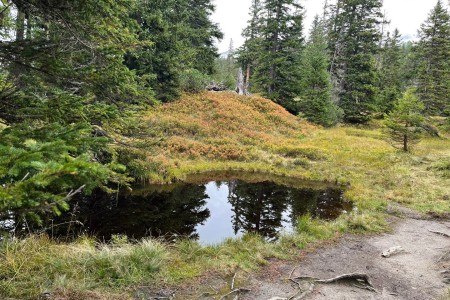 Wanderung mit Toni sen. im Rauriser Urwald