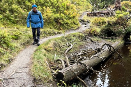 Wanderung mit Toni sen. im Rauriser Urwald