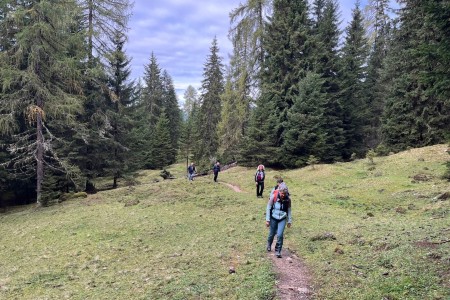 Wanderung mit Toni sen. im Gebiet der Breitenebenalm