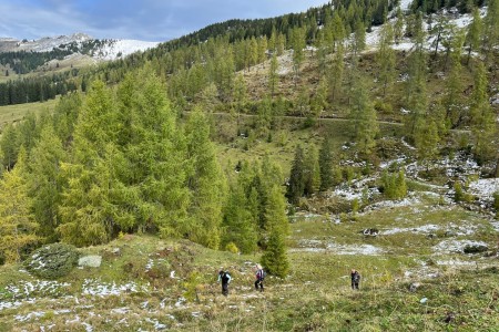 Wanderung mit Toni sen. im Gebiet der Breitenebenalm