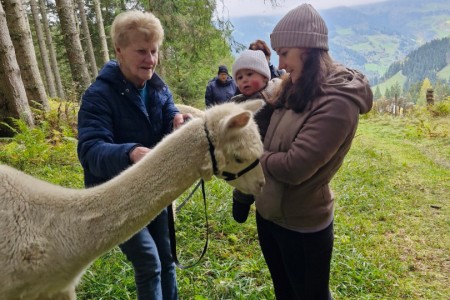 Alpakawanderung mit Karin
