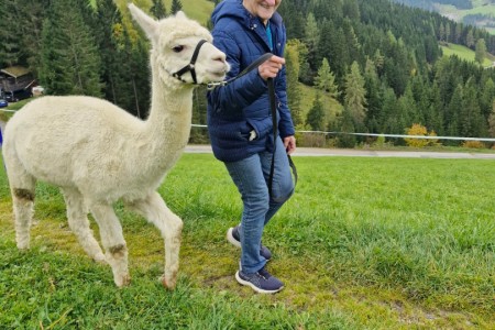 Alpakawanderung mit Karin