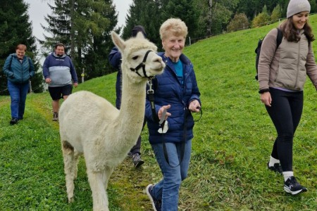 Alpakawanderung mit Karin