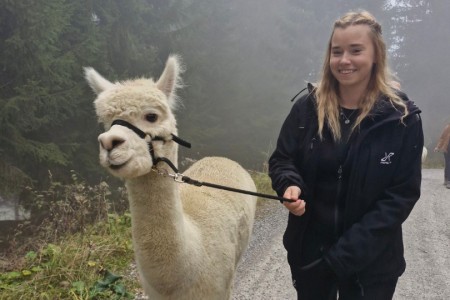Alpakawanderung mit Karin