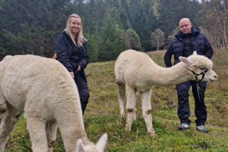 Alpakawanderung mit Karin