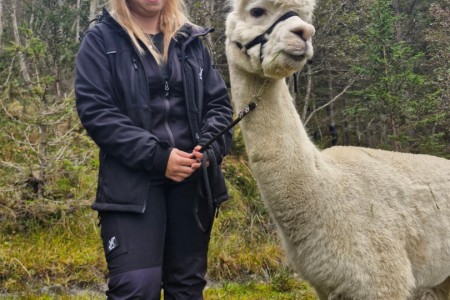 Alpakawanderung mit Karin