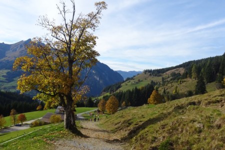 Wanderung mit Maria jun. zum Penkkopf
