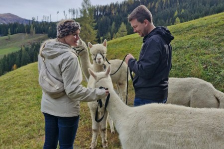Alpakawanderung mit Karin