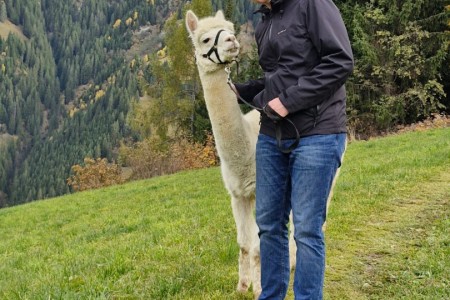 Alpakawanderung mit Karin