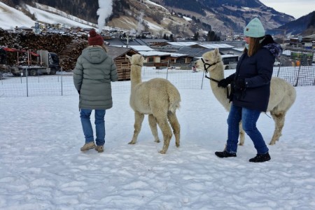 Halfter & Harmonie mit Karin