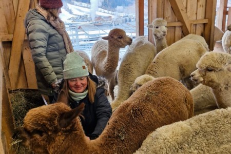 Halfter & Harmonie mit Karin