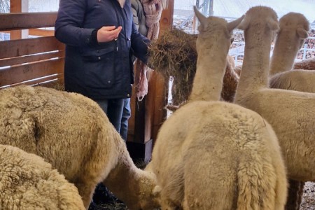 Halfter & Harmonie mit Karin