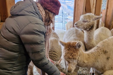 Halfter & Harmonie mit Karin