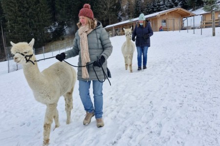 Halfter & Harmonie mit Karin