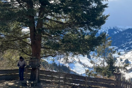 Winterwanderung mit Toni sen.