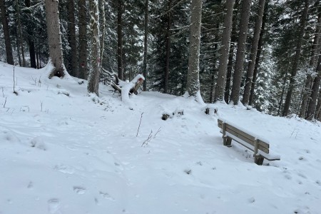 Schneeschuhwanderung mit Toni sen.