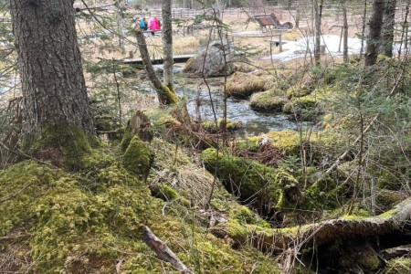 Wanderung mit Toni sen.